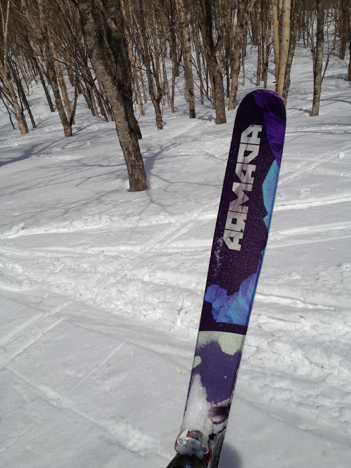 Compass House マテリアルレポート Armada Tst 183 Marker Tour 12