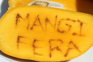 Mangifera - Mango