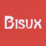 bisux blog