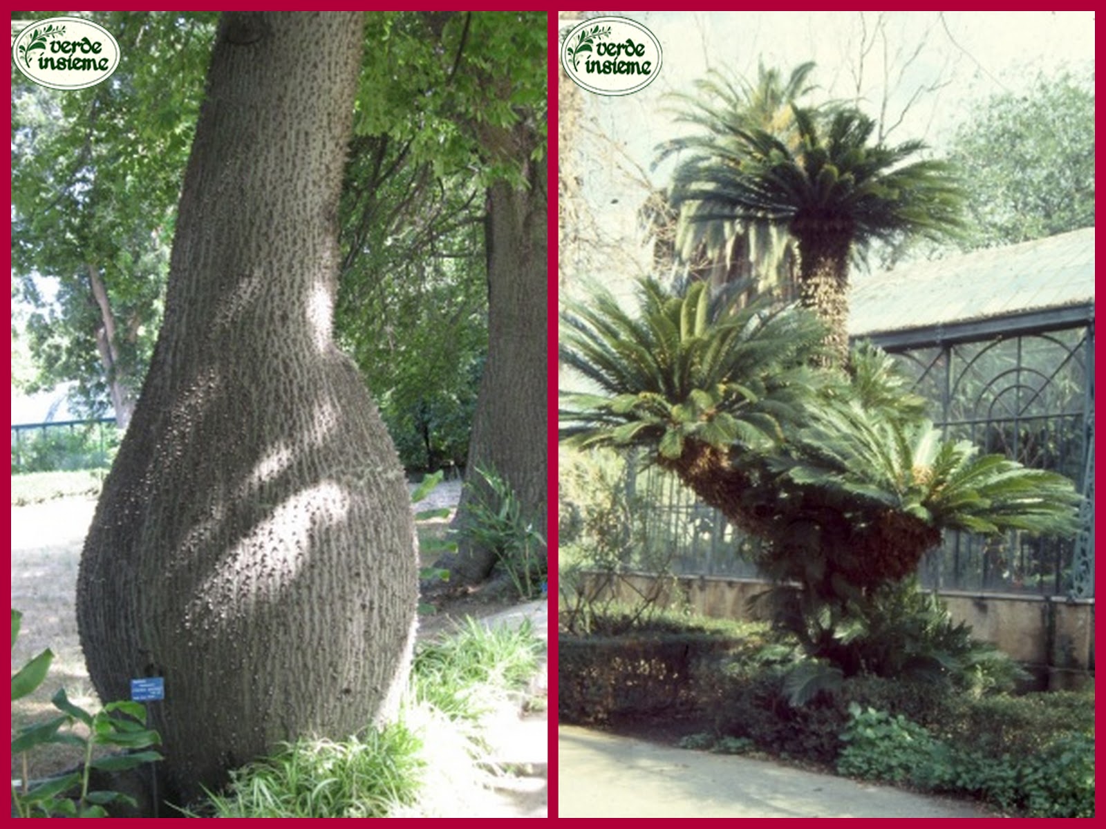 Orto botanico di Palermo