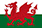 Nama Julukan Timnas Sepakbola Wales