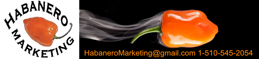 Habanero Marketing Consultancy of Belmont California - SEO and Digital Marketing for Online business