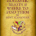 New Harry Potter Movie Extension Coming Fantastic Beasts and Where to Find Them