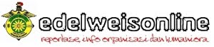 database-edelweis