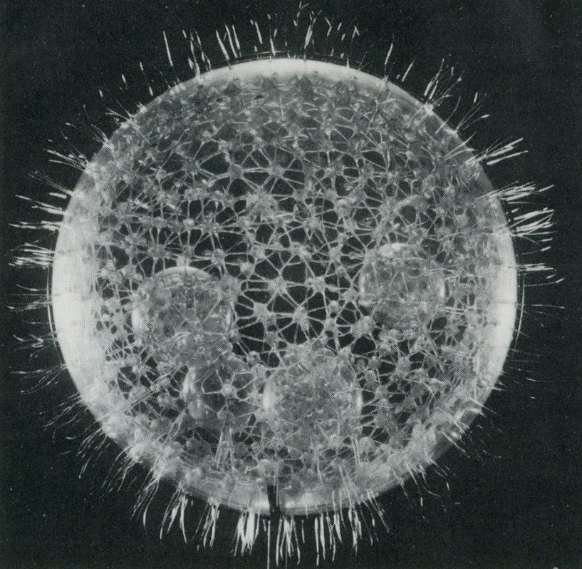 stopping off place New Horizons in Flower Arrangement