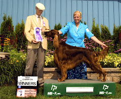 Kathy and Her Irish Setters