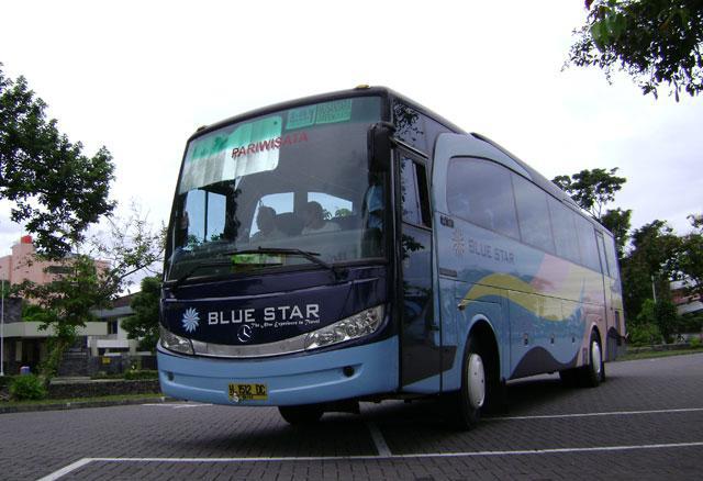 Evolusi Livery Bus Blue Star: Dari Sederhana Hingga Menawan