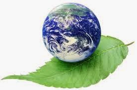 მწვანე დედამიწა