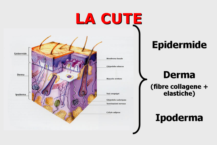 Omeopatia in trattamento di posti di pigmentary