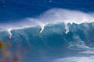 Paddle+in+Jaws.jpg