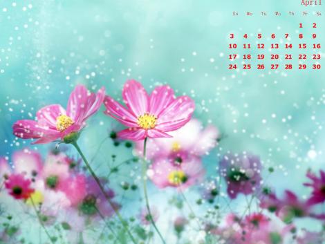 Many Free Desktop Wallpapers for April 2011 : flash-screen