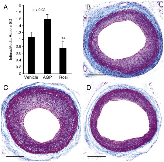Balloon Induction Balloon Invitations Pictures