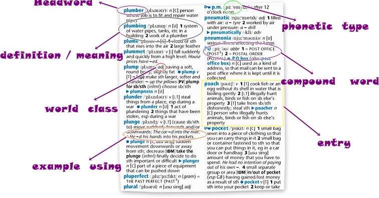 Assignment là gì image