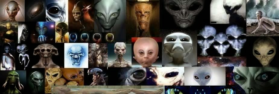Types of Alien Beings ~ Aliens With Us