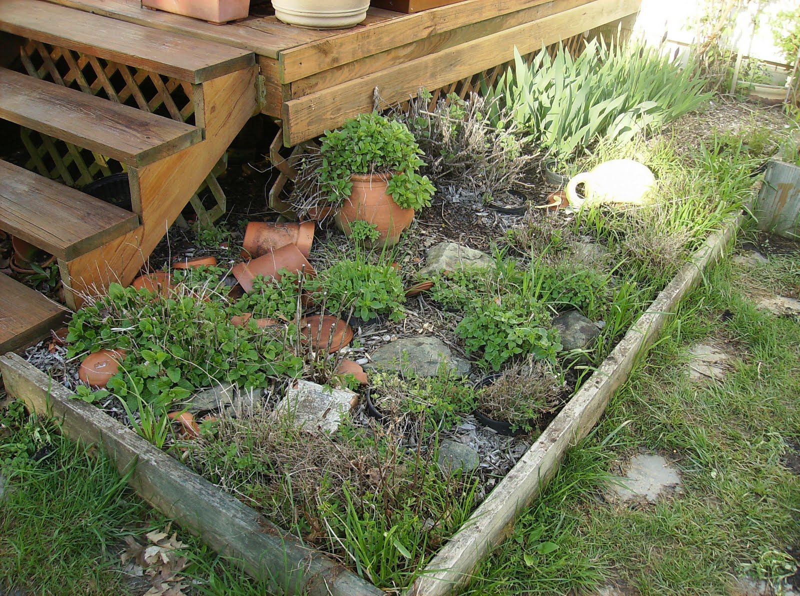 The Rusted Vegetable Garden