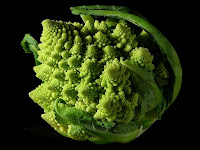 800px-Fractal_Broccoli.jpg