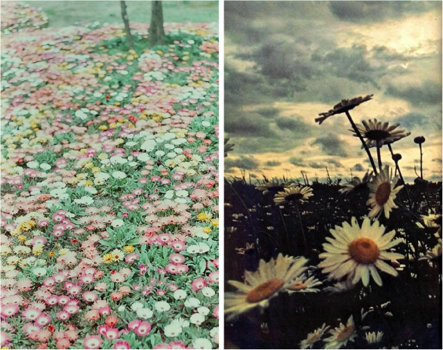 WkShp: April 2012
