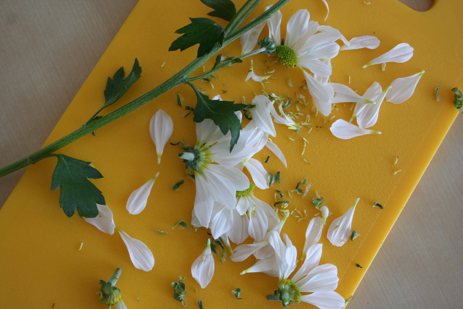 Creating and Educating Flower Study