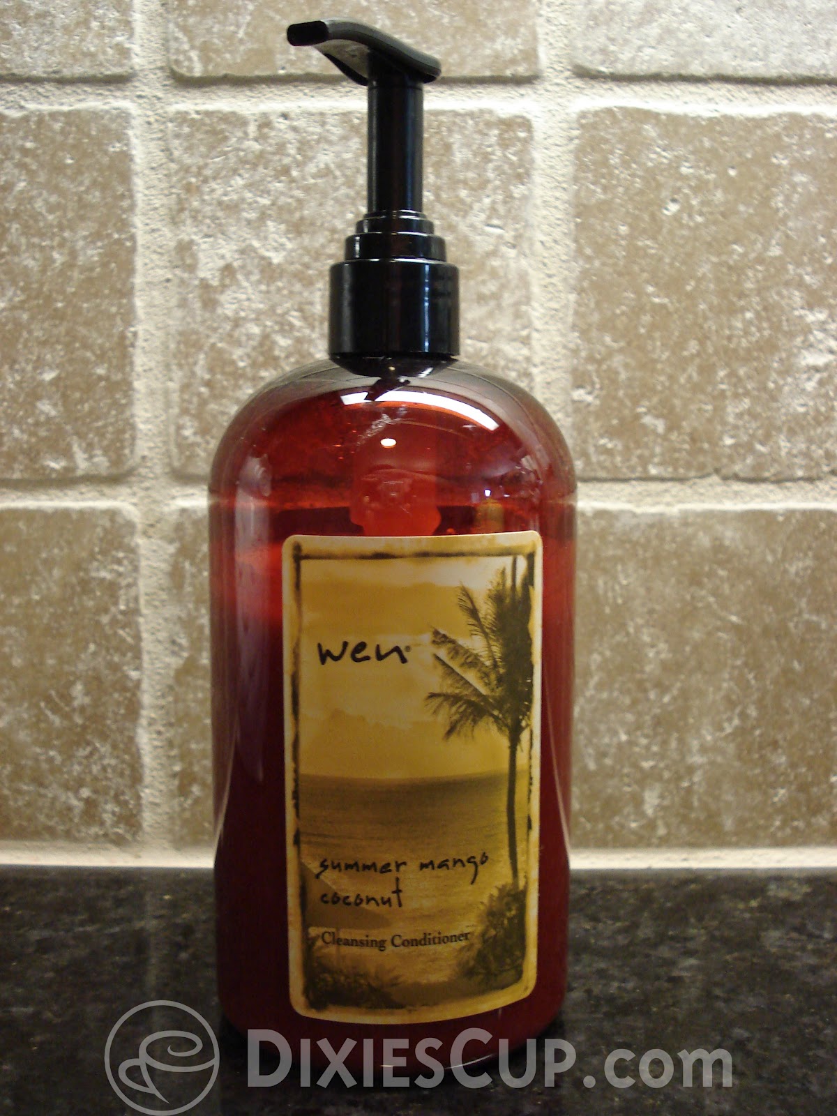 Dixie S Cup Review Wen Cleansing Conditioner