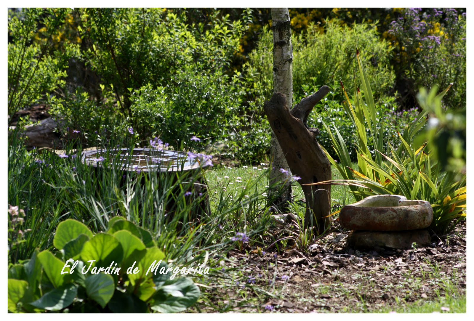 El Jardín de Margarita: Algo más que plantas!!