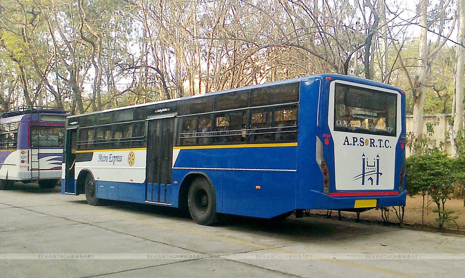 LOVE of Z New METRO EXPRESS Buses