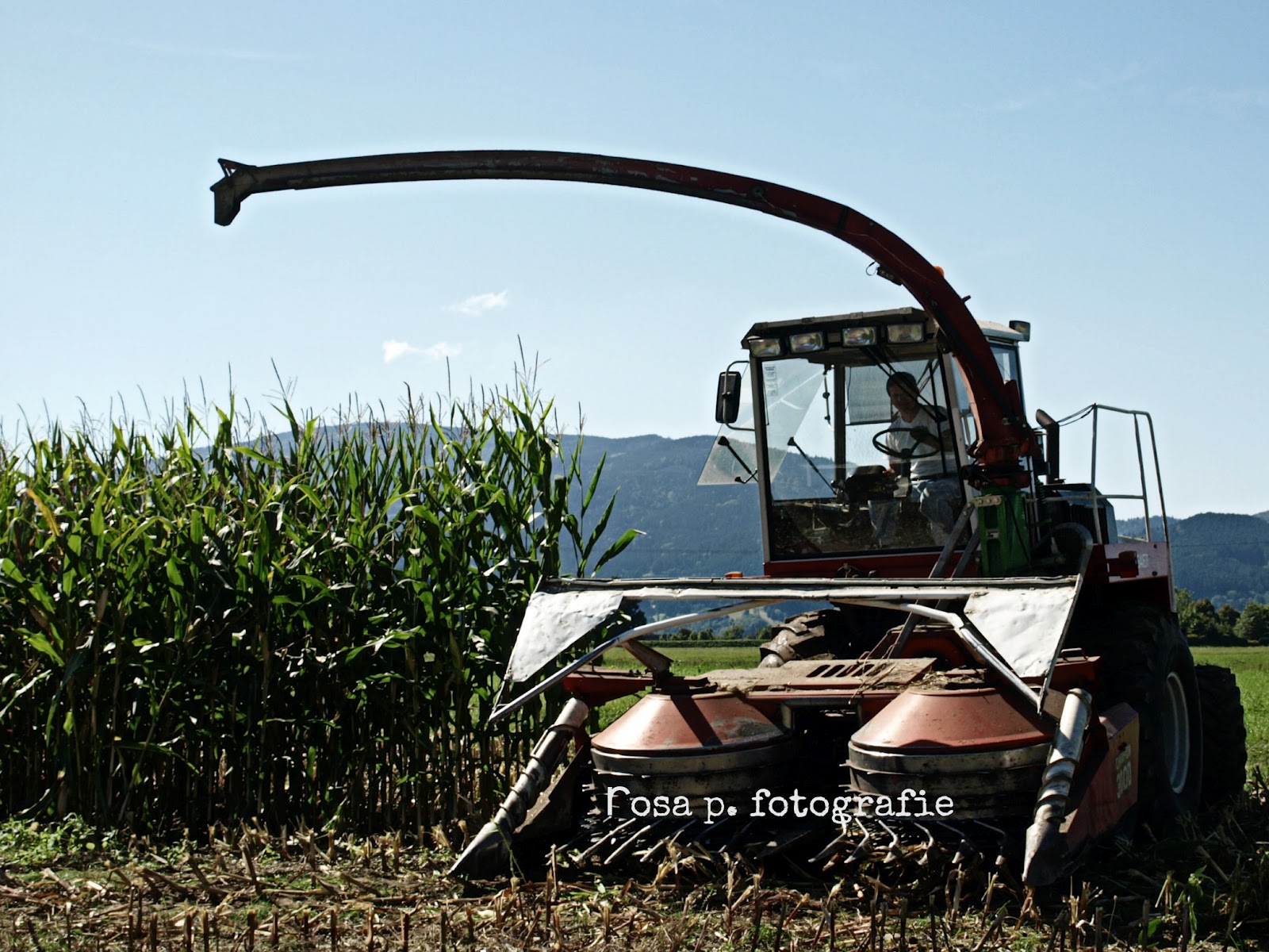 Bharti Kher Im Salon Berlin Dr Helga Wass Torial