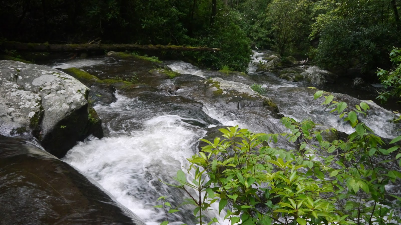 American Travel Journal Twentymile Creek Cascade