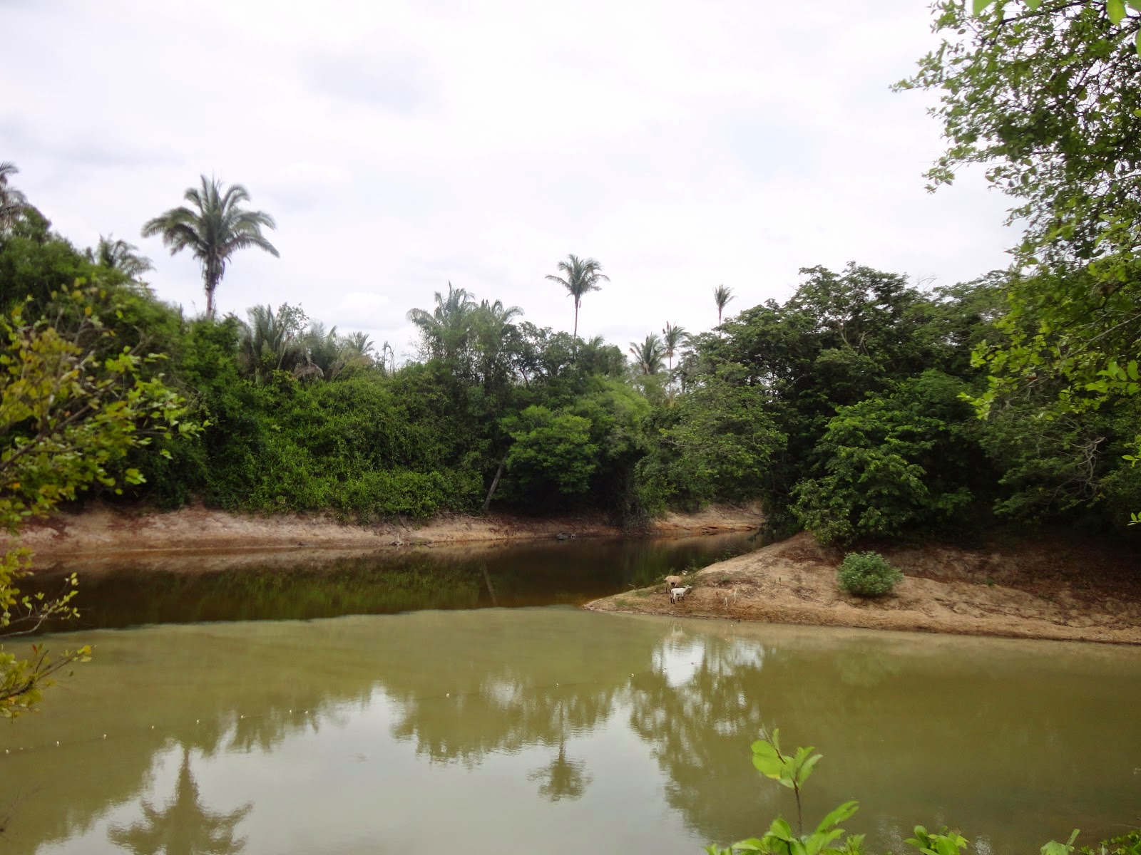 Vargem Grande  MA Terra das Palmeiras