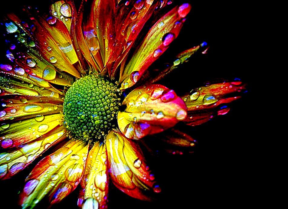 Excelentes wallpapers a todo color Taringa Excelentes wallpapers a todo color Taringa