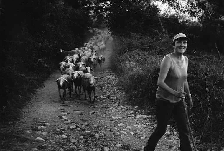 Aveyron