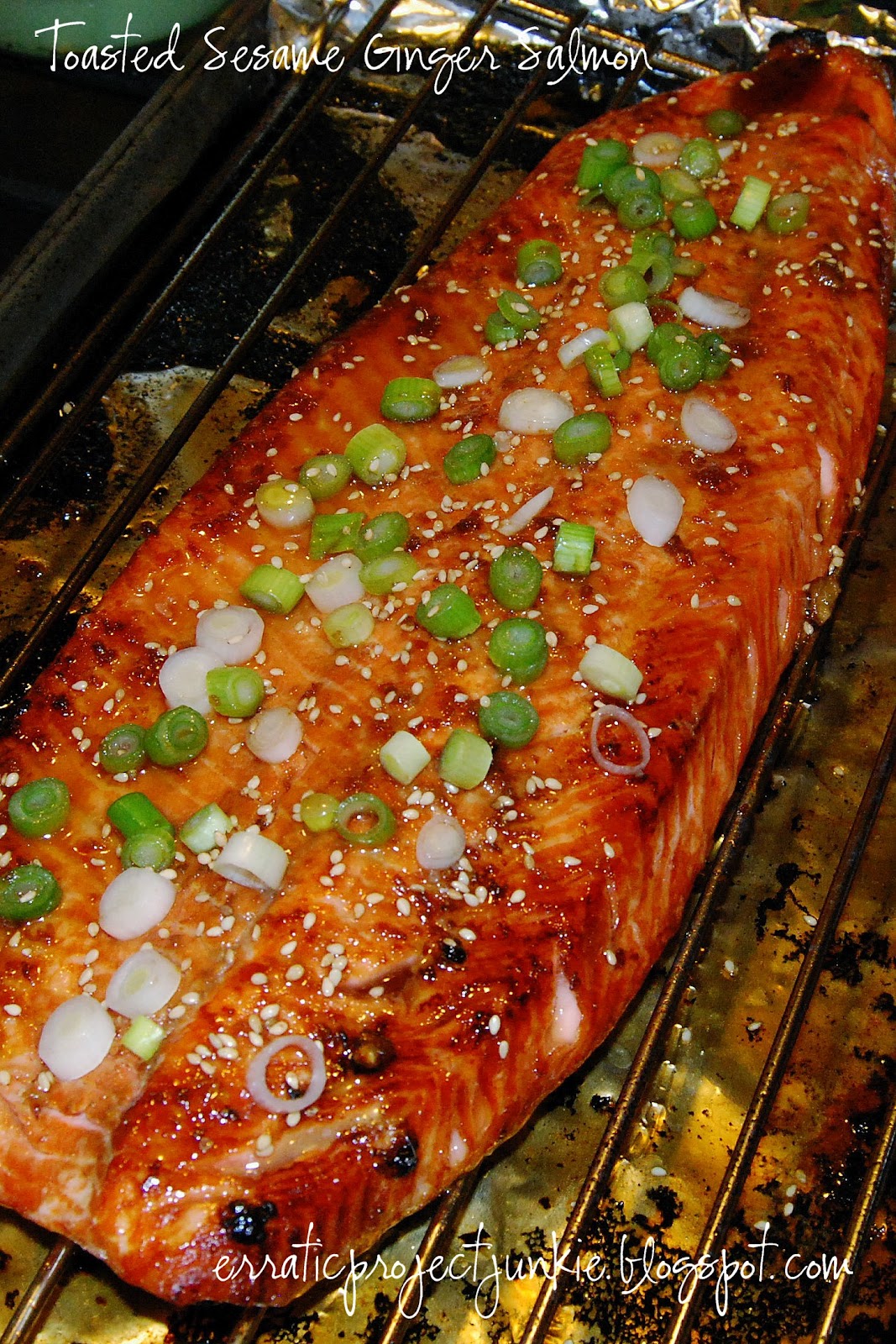 Erratic Project Junkie Toasted Sesame Ginger Salmon