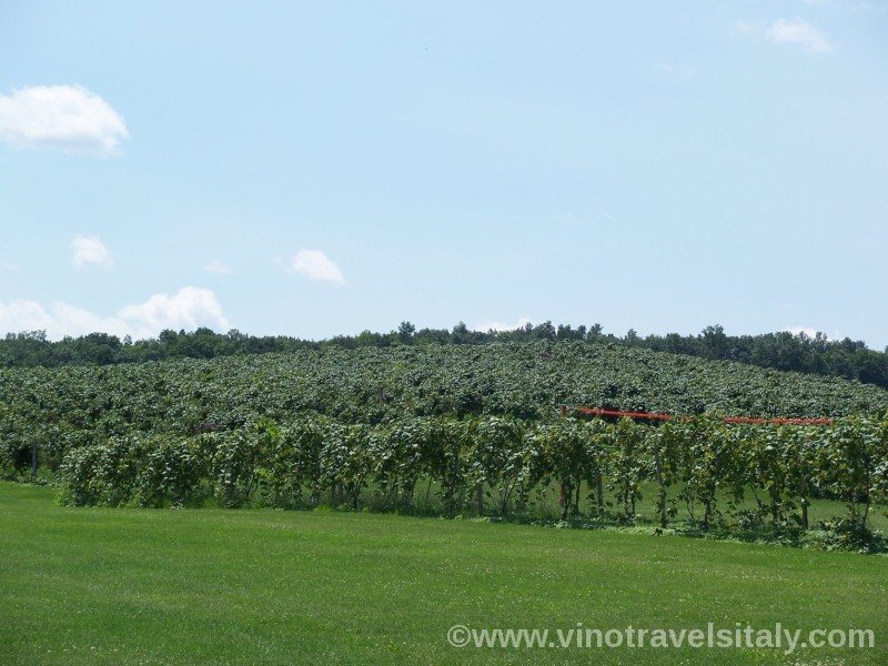 Vino Travels An Italian Wine Blog The Alchemy of Hunt Country