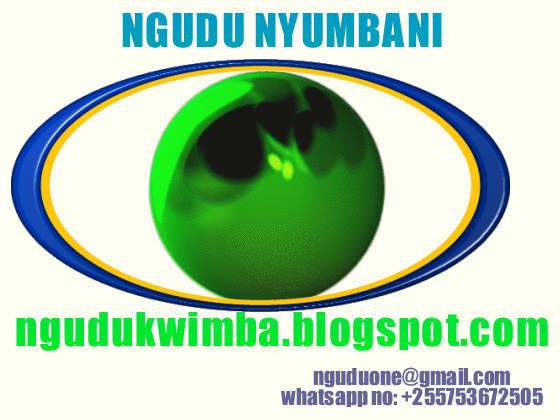 NGUDU NYUMBANI LOGO