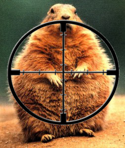 Groundhog%2BCrosshairs.png