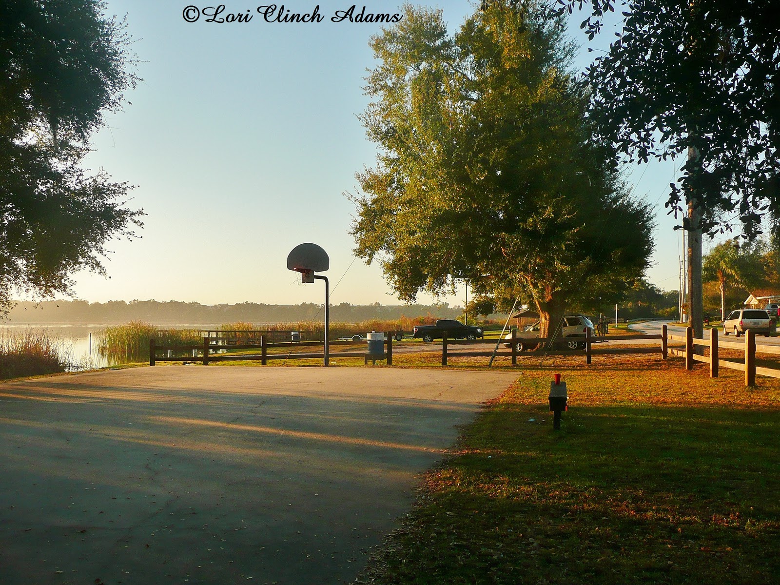 Polk County Florida Parks and Trails Lake Ned Sunrise, Winter Haven, New Years Day, January 1, 2012