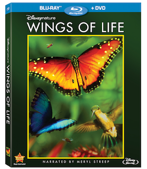 DisneyNature Wings of LIfe