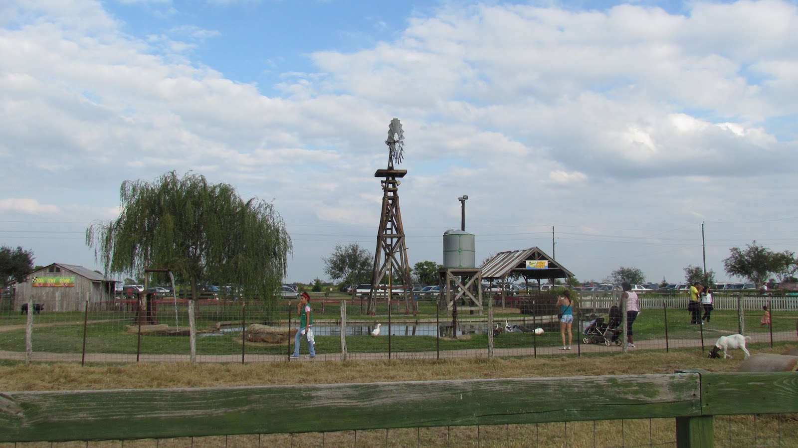 Fall Traditions Dewberry Farm Mad About Town