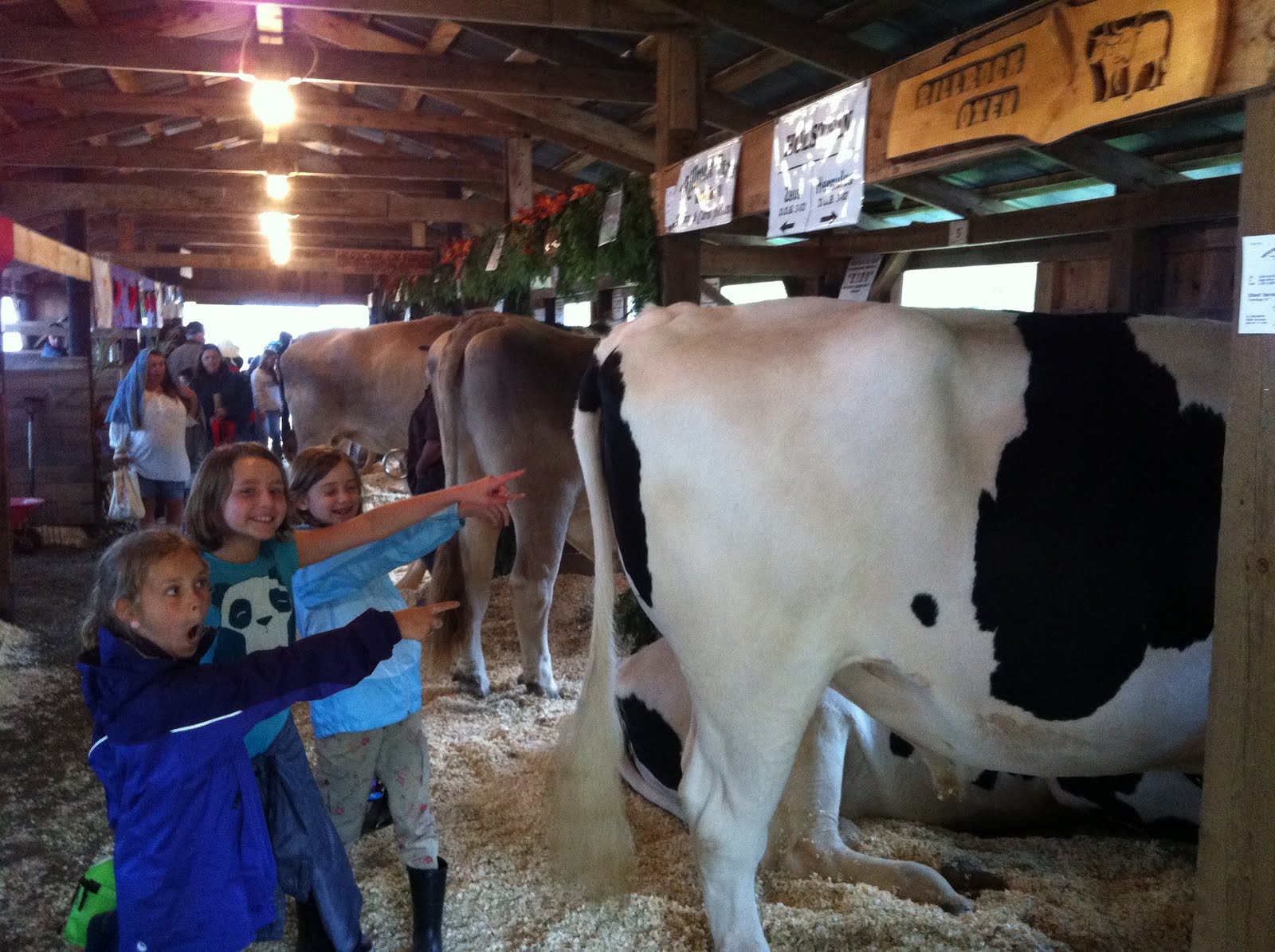 TGS Grade 5 20112012 Tunbridge World's Fair Agriculture & Education Day