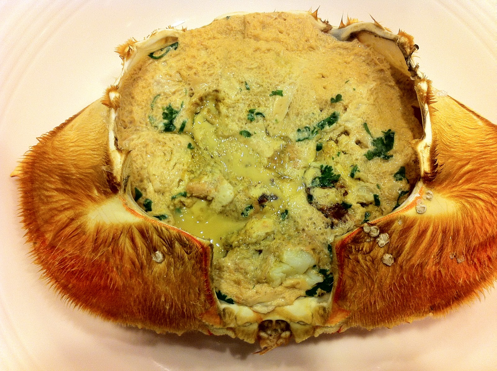 Food Sparks A Christmas Feast of Crabs and Lobsters