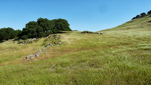 The East Bay Regional Parks