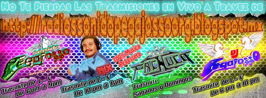 RADIO SONIDO PEGAJOSSO