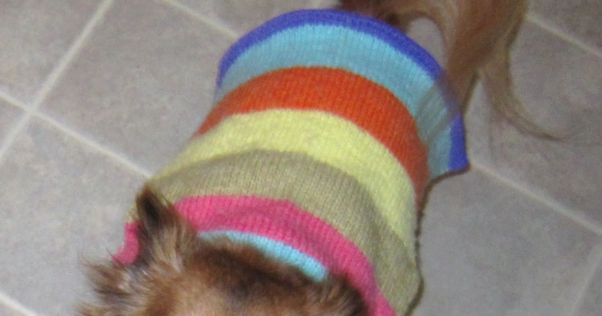McGalver Make a Dog Sweater from an Old Human Sweater