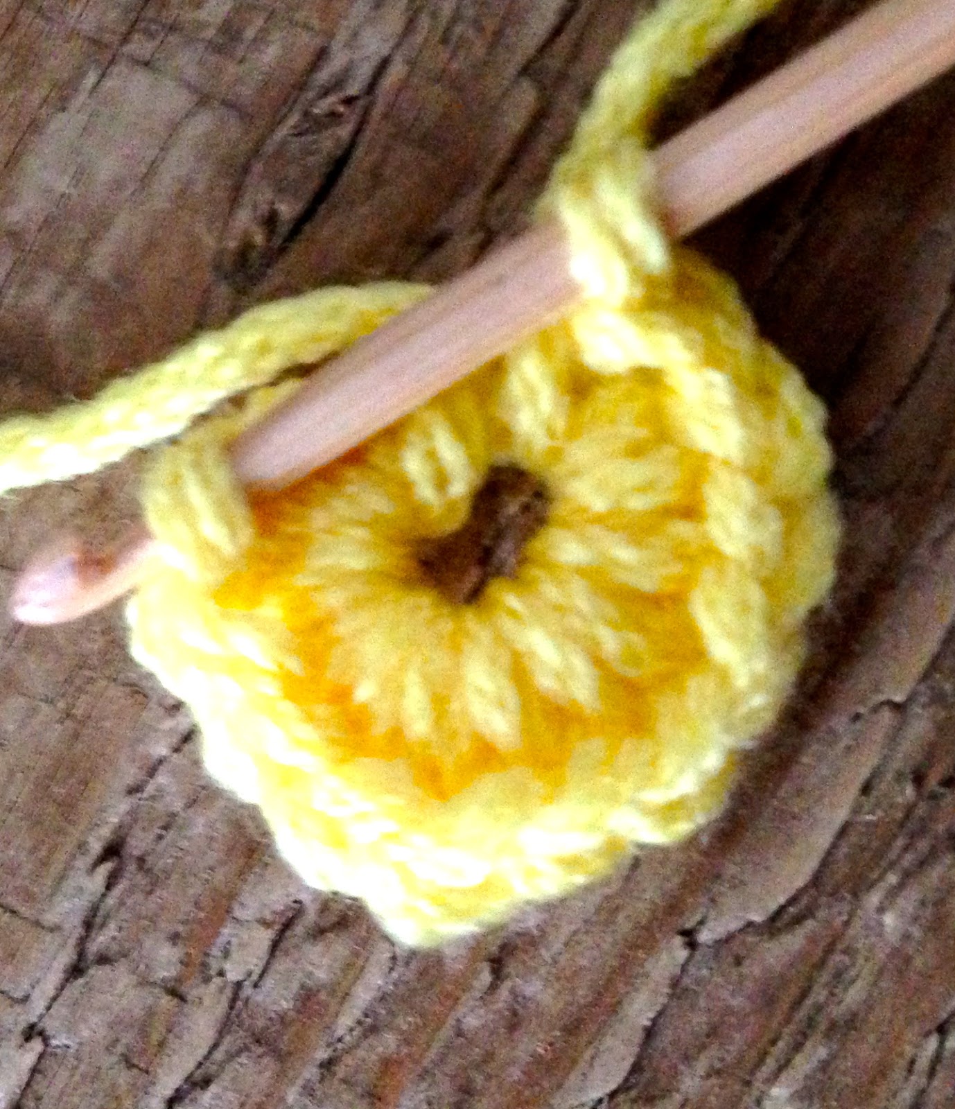 Bayou Lady Introducing Althea Rose Sharon Bush