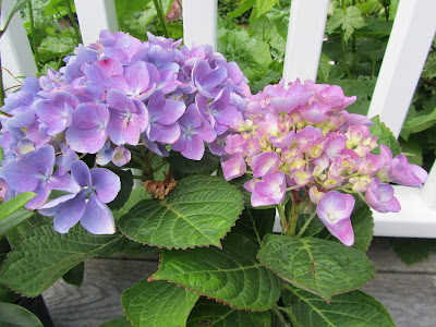 creative savv: June 2013