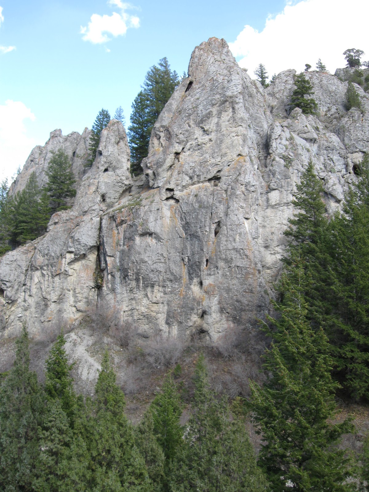 Ogden Insights Things To Do In Idaho Wolverine Canyon and Forty Horse