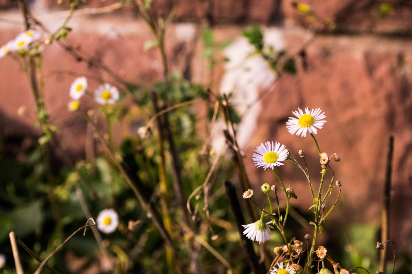 Can T Even Move But I Miss You Most Of All My Darling