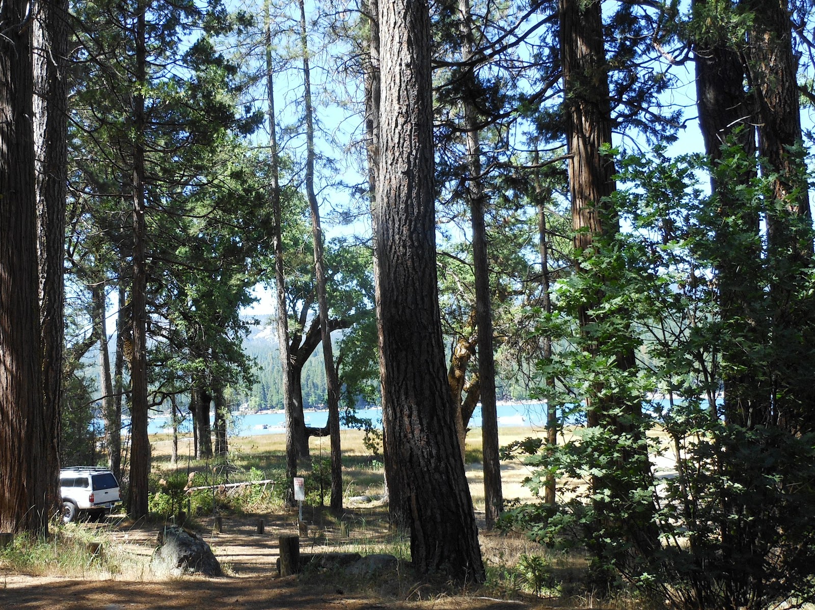 1000 Hikes in 1000 Days Day 575 Forks Campground Sierra National