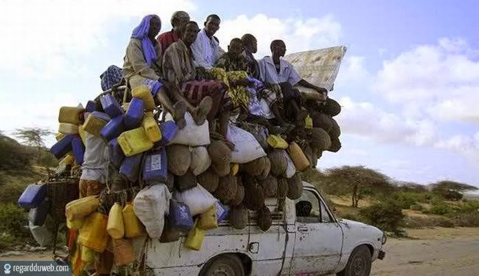 humour-drole-insolite-transport-marchandise4.jpg