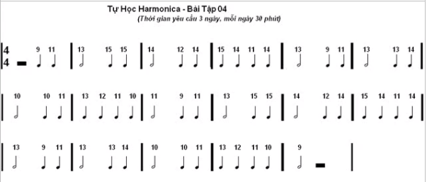 Tự học kèn harmonica Diatonic 10 lỗ online
