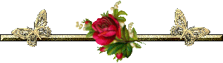 0a.gif